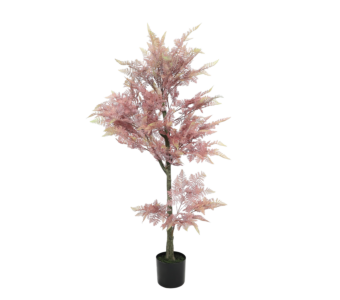 Roža FERN